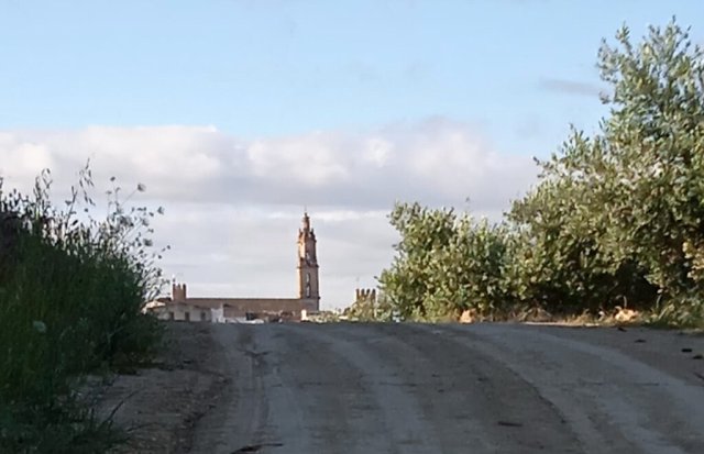 Subiendo a Bujalance